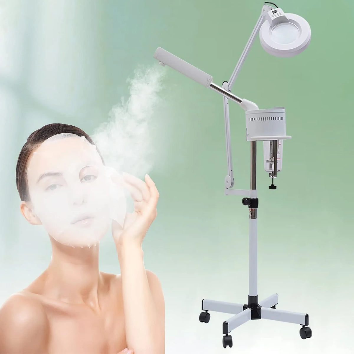 Nettoyeur, décoration de salon, vapeur, pour le visage