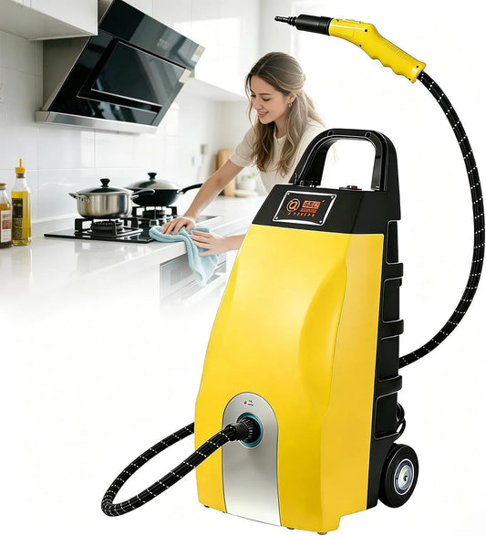 Nettoyeur vapeur, professionnel, appareil de nettoyage à vapeur, Nettoyeur Vapeur Haute Température